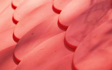 Hamble Le Rice plastic roof costs