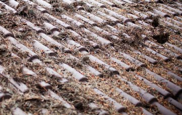 Hamble Le Rice roof cleaning companies