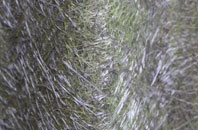 Hamble Le Rice fibreglass roof work